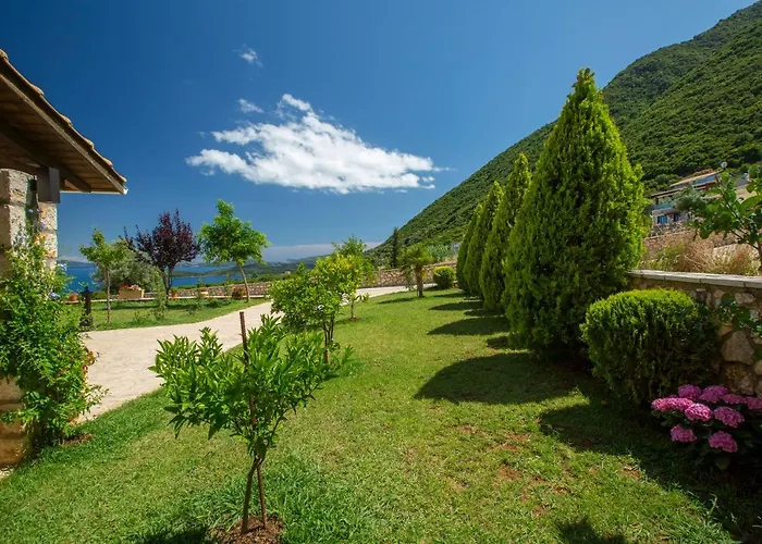 Ventalia 니키아나